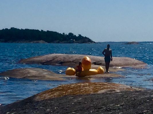 Sjöställe på mindre ö mitt i Stockholms skärgård! - Bild 13