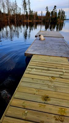 Hyr denna stuga i Värmland på 75 m². 2-5 sängplatser. 5 000 - 8 500 kr per vecka. Se bilder och tillgänglighet här.