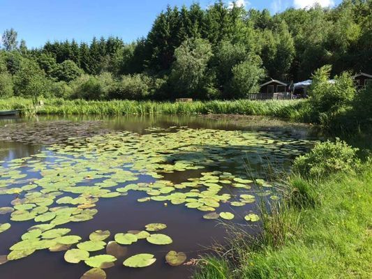 Bild 4 på Semesterboende på Linderödsåsen, Hörby Kommun