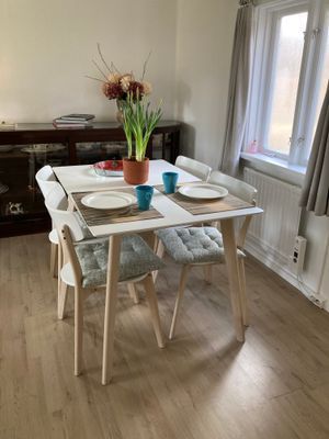 Semesterstuga centralt i Skåne - Bild 10