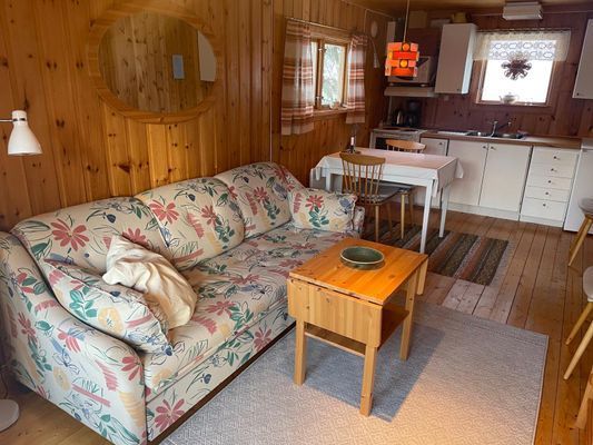 Bild 3 på Tandådalen vecka 8 och Vasaloppet