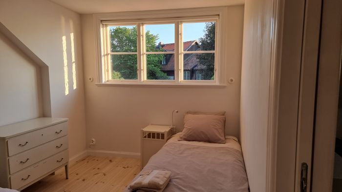 Visby innerstad, Gotland v 29, hund ok - Bild 23