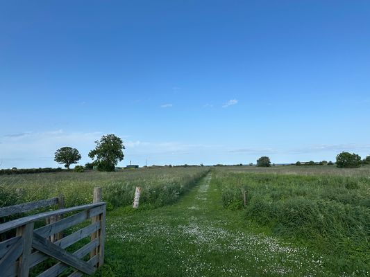 Bild 4 på Gårdshus med havsutsikt på Östra Öland