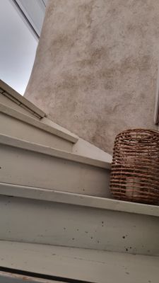 Visby innerstad, Gotland v 29, hund ok - Bild 15