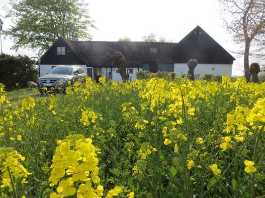 Bild 3 på Fyrlängad gård mitt på Österlen