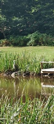 Semesterboende på Linderödsåsen, Hörby Kommun - Bild 35