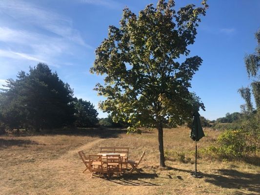 Stuga vid Böda hamn, nära badstrand - Bild 10