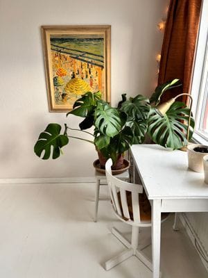 Mysigt hus i kyrkby nära Vänern - Bild 76