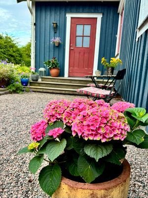 Mysigt hus i kyrkby nära Vänern - Bild 78
