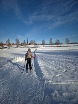 Söt liten stuga Leksand - Bild 16
