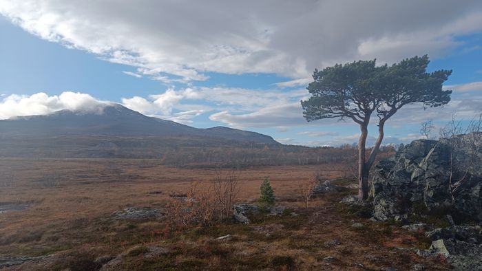 Fjällstuga med fint läge - Bild 23