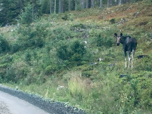 Vacker stuga med magisk utsikt, spabad och bastu - Bild 25