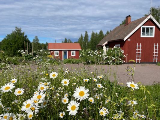 Hyr denna stuga i Ockelbo på 25 m². 2 sängplatser. 845 - 900 kr per dag. Se bilder och tillgänglighet här.