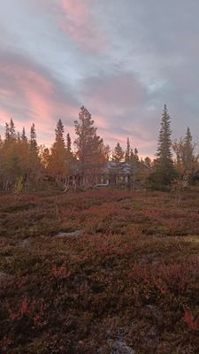 Fjällstuga med fint läge - Bild 24