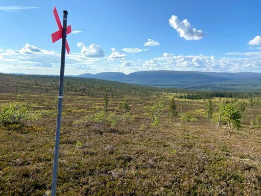Fjällstuga i natursköna Näsfjället
