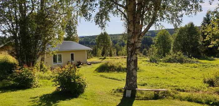 Hyr denna stuga i Bydalen på 100 m². 6-8 sängplatser. 3 900 - 6 900 kr per vecka. Se bilder och tillgänglighet här.