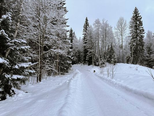 Bed & Breakfast i Dalarna – Mysigt rum i Öje - Bild 8