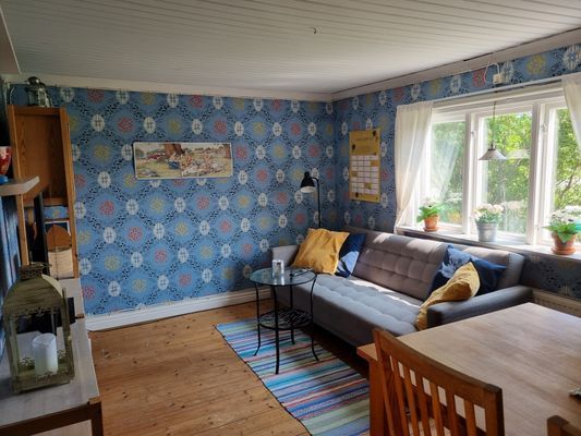 Enklare bäddsoffa framför TV:n.