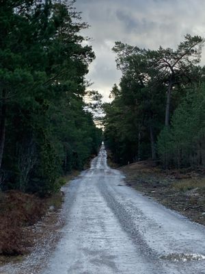 Bild 4 på Nybyggd sommarstuga uthyres Östergarn Gotland