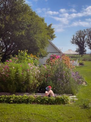 Gårdshus med havsutsikt på Östra Öland - Bild 10