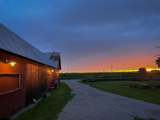 Gårdshus med havsutsikt på Östra Öland - Bild 14