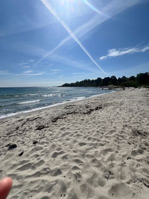 Underbar kustidyll vid havet med unik trädgård - Bild 19