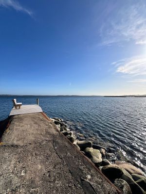 Underbar kustidyll vid havet med unik trädgård - Bild 20