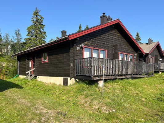 Sälen, Högfjället, ski in-ski out, bastu, kamin - Bild 25