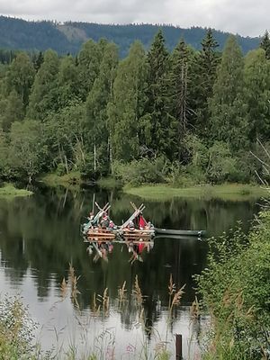 Gård vid Klarälven - bara 10 minuter från Branäs - Bild 17
