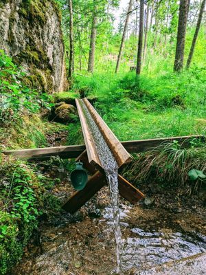 Paradis mitt i Sverige - Bild 7