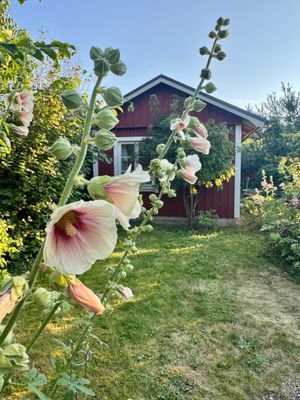 Hyr denna stuga i  på 20 m². 2 sängplatser. Från 5 000 kr per vecka. Se bilder och tillgänglighet här.