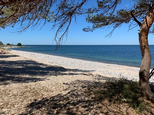 "Lilla Solhem" charmig stuga 150m från havet - Bild 22