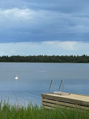 Sommarhus i Rute med sjötomt i Lergrav - Bild 21