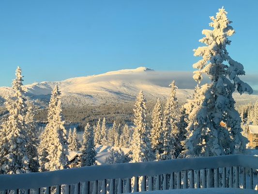 Åre Björnen Toppklass 10 bäddar - Bild 6