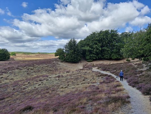 Retreat Kerstins stuga - Bild 14