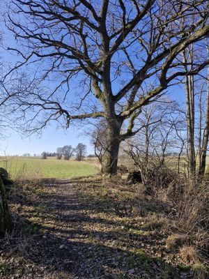 Retreat Kerstins stuga - Bild 19