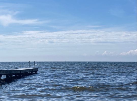 Sommar idyll på Sydvästra Öland - Bild 13