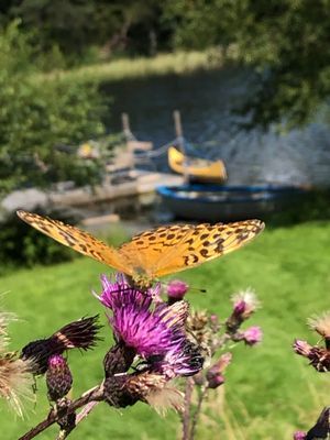 Bild 4 på Charmigt hus med sjötomt i naturskön omgivning