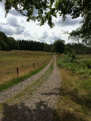 Charmigt hus med sjötomt i naturskön omgivning - Bild 22