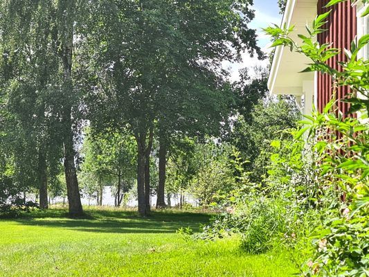 Utsikt över sjön Viren!