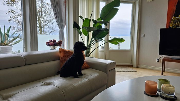 Villa med panoramautsikt över havet | SE09144 - Bild 6