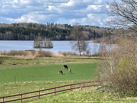 Kilarpssjön alldeles i närheten