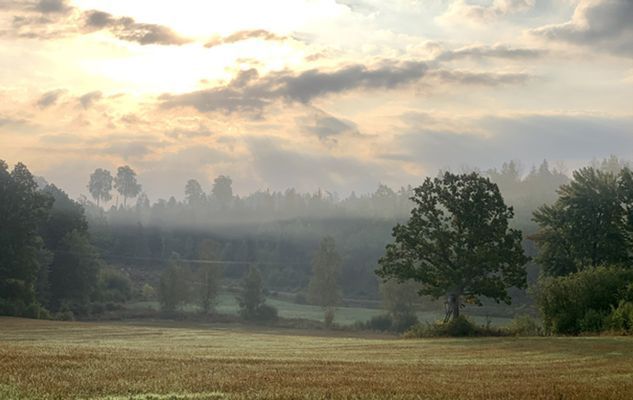 Bo på idyllisk bondgård | Nära sjö med fri båt - Bild 40
