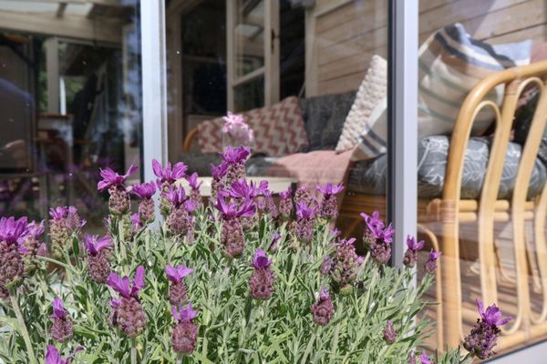 Bild 3 på Ellas stuga