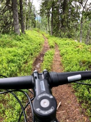 Familjevänlig & mysig fjällstuga på Vemdalsskalet - Bild 9