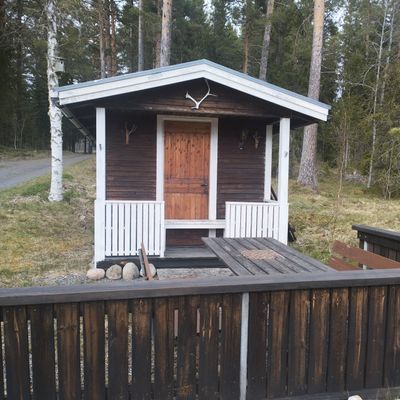Övernattning för Fiskmåsar - Bild 6