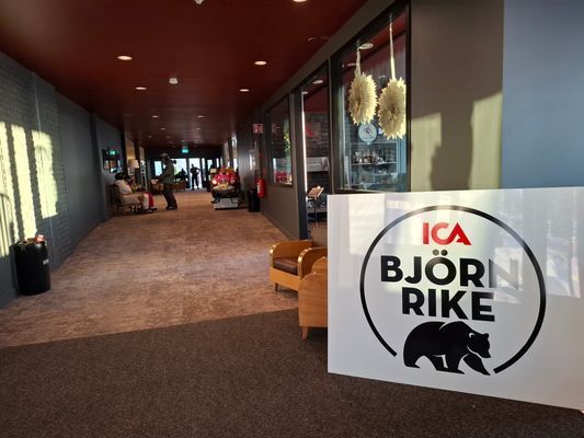 Nyår: Ski in/ski out Björnrike, Vemdalen, Jämtland - Bild 15