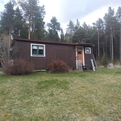 Övernattning för Fiskmåsar