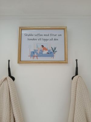 Nyhet! Avskilt nära bad i Djupvik - Bild 15