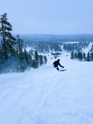 Timrad sälenstuga - Bild 20